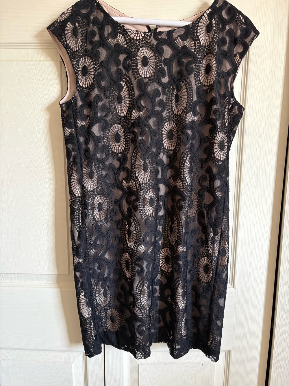 Elegant Black Lace Overlay Sheath Dress - Nude Lining